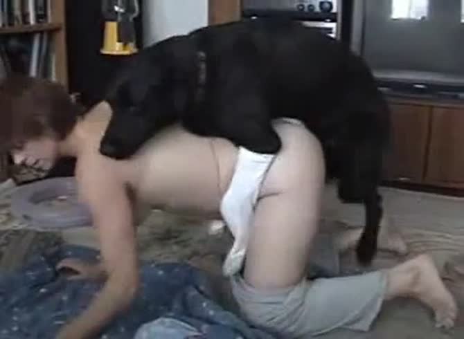 Video :Curvy woman got smashed by dog in dog porno